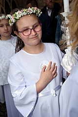 Thumbnail of 0245.JPG