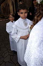 Thumbnail of 0253.JPG