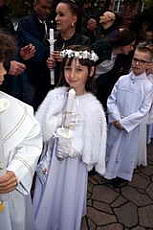 Thumbnail of 0291.JPG