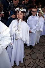 Thumbnail of 0295.JPG