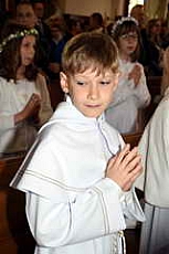 Thumbnail of 0449.JPG