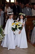 Thumbnail of 0819.JPG