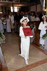 Thumbnail of 0832.JPG