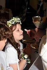 Thumbnail of 0987.JPG