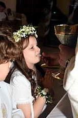 Thumbnail of 0990.JPG