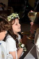 Thumbnail of 0991.JPG