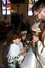 Thumbnail of 0993.JPG