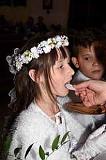 Thumbnail of 1010.JPG