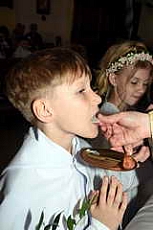 Thumbnail of 1058.JPG