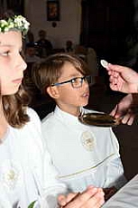 Thumbnail of 1121.JPG