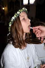 Thumbnail of 1133.JPG