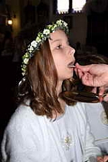 Thumbnail of 1135.JPG