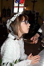 Thumbnail of 1145.JPG