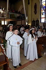 Thumbnail of 2446.JPG