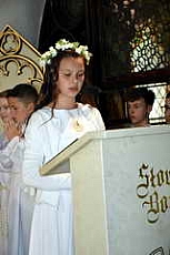 Thumbnail of 2451.JPG