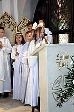 Thumbnail of 2643.JPG