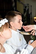 Thumbnail of 2823.JPG