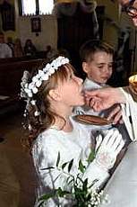 Thumbnail of 2832.JPG