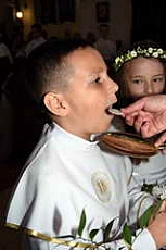 Thumbnail of 2848.JPG