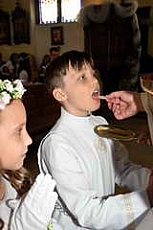 Thumbnail of 2856.JPG