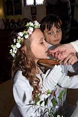 Thumbnail of 2864.JPG
