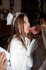 Thumbnail of 2870.JPG