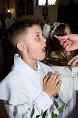 Thumbnail of 2874.JPG