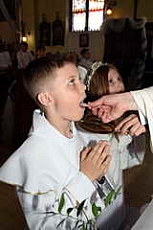 Thumbnail of 2876.JPG