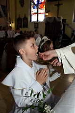 Thumbnail of 2878.JPG
