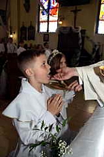 Thumbnail of 2879.JPG