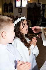 Thumbnail of 2928.JPG