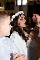 Thumbnail of 2931.JPG