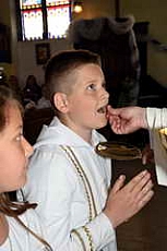 Thumbnail of 2946.JPG