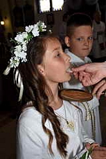 Thumbnail of 2951.JPG